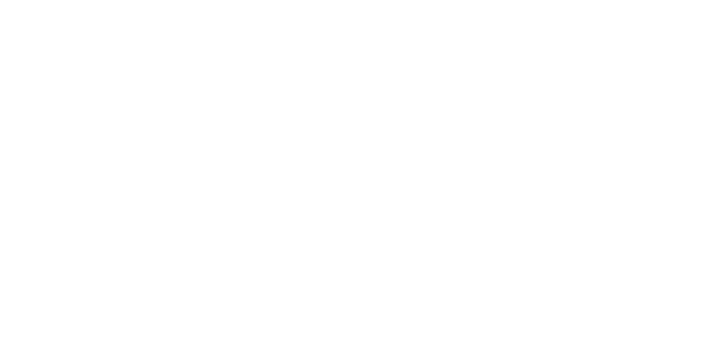 NetDragon Service Group